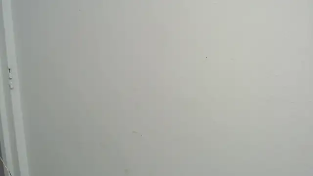amy le01 online show from 02/18/25, 04:36