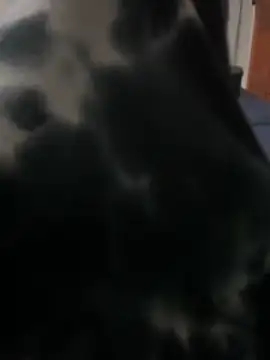 ROBOSTALLION online show from 04/13/26, 04:33