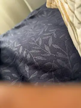 ROBOSTALLION online show from 04/04/26, 11:39