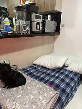 Dubois Amy online show from 02/24/25, 09:30