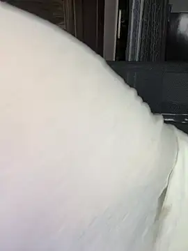 Zoya Varma004 online show from 04/10/26, 02:02