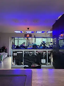 newMichelle online show from 03/16/26, 07:12