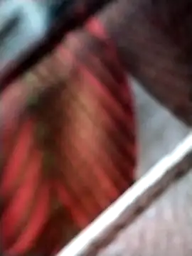 Keyla01  online show from 11/07/25, 10:42