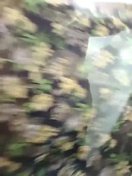 yoursana- online show from 10/29/25, 04:55