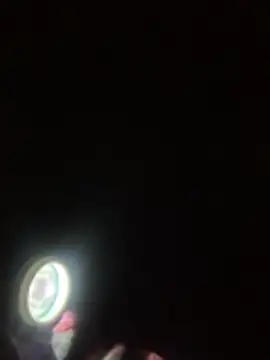 GHsveter online show from 02/19/26, 09:34