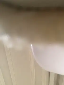 GHsveter online show from 03/31/26, 10:50