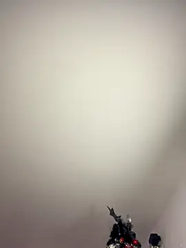 Snapshot of Frank_Farrell chatting on 01/05/26, 11:08 Frank Farrell online show from 01/05/26, 11:08