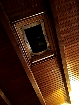 CurlyElisa online show from 02/26/26, 09:37