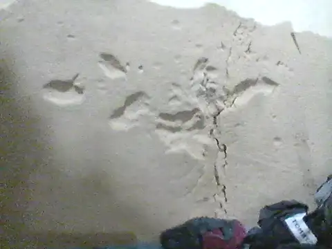 MarsWood online show from 10/16/25, 10:12