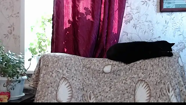 EmilyDoth online show from 04/05/26, 04:30