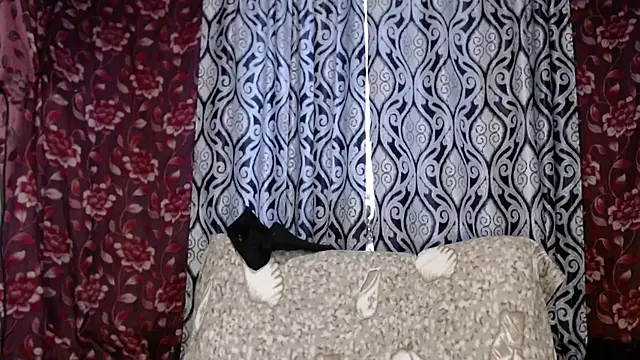 Snapshot of EmilyDoth chatting on 11/29/25, 04:34 EmilyDoth online show from 11/29/25, 04:34