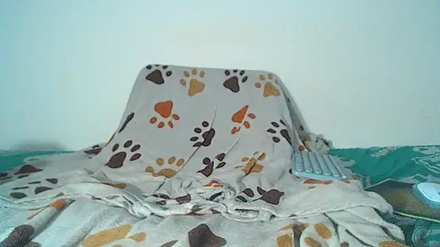 maihton xx online show from 02/03/26, 06:40