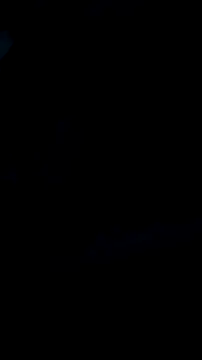 Snapshot of DauergeilMD chatting on 01/25/25, 01:43 DauergeilMD online show from 01/25/25, 01:43