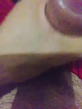 Shugar dick online show from 11/17/25, 03:54