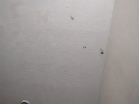 247Srokin online show from 03/13/26, 07:24