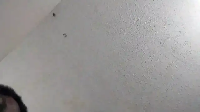 247Srokin online show from 03/06/26, 11:00