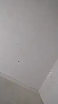 247Srokin online show from 10/25/25, 09:08