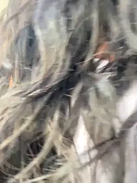 Snapshot of bea3liz chatting on 12/18/24, 05:52 bea3liz online show from 12/18/24, 05:52