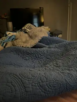 DAJ4002 online show from 01/17/26, 01:26