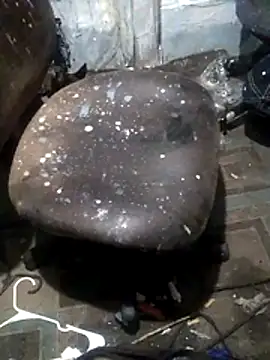 Wero4200 online show from 03/11/26, 05:23