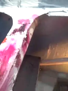 Wero4200 online show from 03/02/26, 08:38