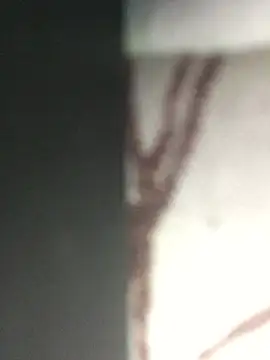 JessicaSissySlut69 online show from 03/07/25, 08:34