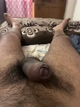 Bareilly Boy1 online show from 03/07/26, 06:42