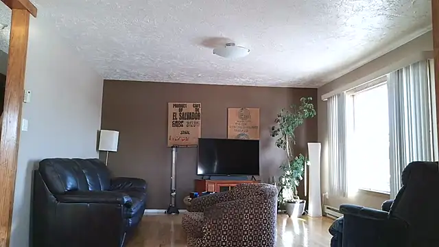 BasicAnt online show from 01/11/26, 05:20