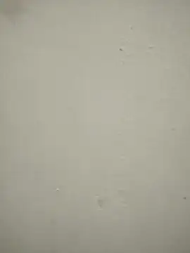 blackjack- online show from 11/22/25, 12:37