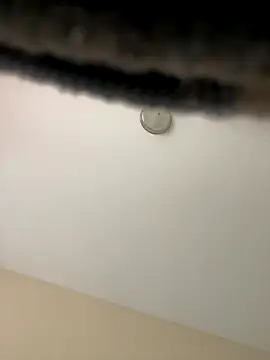 Iced cloudz online show from 12/14/25, 03:17