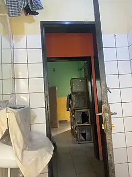 vannycov online show from 11/18/25, 07:44