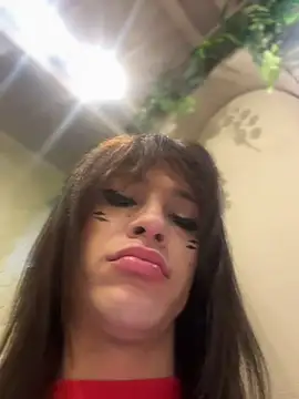 Snapshot of stormytt_ chatting on 01/12/26, 03:46 stormytt online show from 01/12/26, 03:46