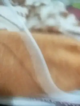 naghmi12 online show from 04/13/26, 05:50