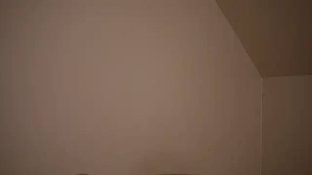 chibi moon  online show from 12/14/24, 07:36