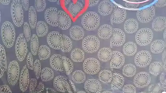 LunaRai online show from 02/06/26, 03:13