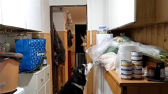 Snapshot of VanessaDoyle chatting on 02/20/26, 06:21 VanessaDoyle online show from 02/20/26, 06:21