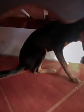 sweet morbid hot online show from 11/26/25, 06:52