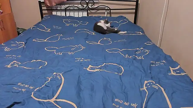 eva zero online show from 12/17/25, 03:06