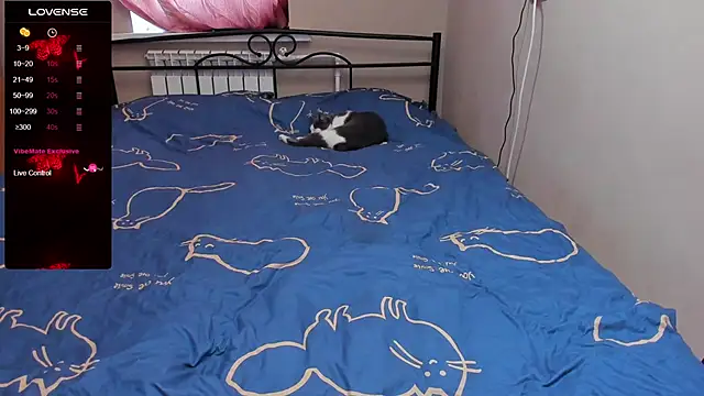 eva zero online show from 11/03/25, 11:36