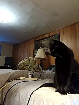 OralDesires2 online show from 12/19/25, 08:55