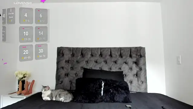 Snapshot of sweet__wild chatting on 02/10/26, 08:19 sweet wild online show from 02/10/26, 08:19