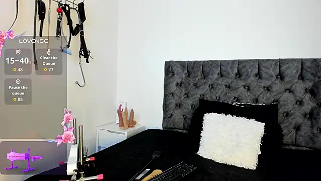 Snapshot of sweet__wild chatting on 11/11/25, 11:53 sweet wild online show from 11/11/25, 11:53