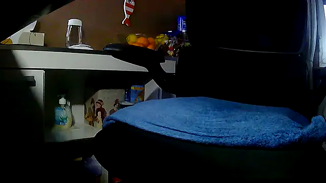 suedel65 online show from 11/30/25, 04:08