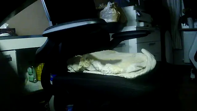 suedel65 online show from 02/05/26, 02:29