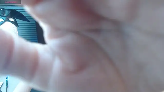 pink-2022 online show from 04/21/26, 08:26