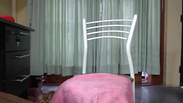 gatitas traviesas online show from 04/25/26, 11:57