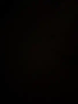 dingoding online show from 05/09/26, 03:43