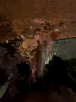 Snapshot of dingoding chatting on 10/08/25, 06:59 dingoding online show from 10/08/25, 06:59