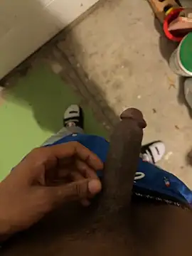dingoding online show from 05/08/26, 02:48