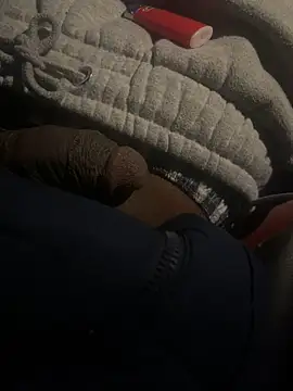 Snapshot of dingoding chatting on 02/22/25, 01:44 dingoding online show from 02/22/25, 01:44